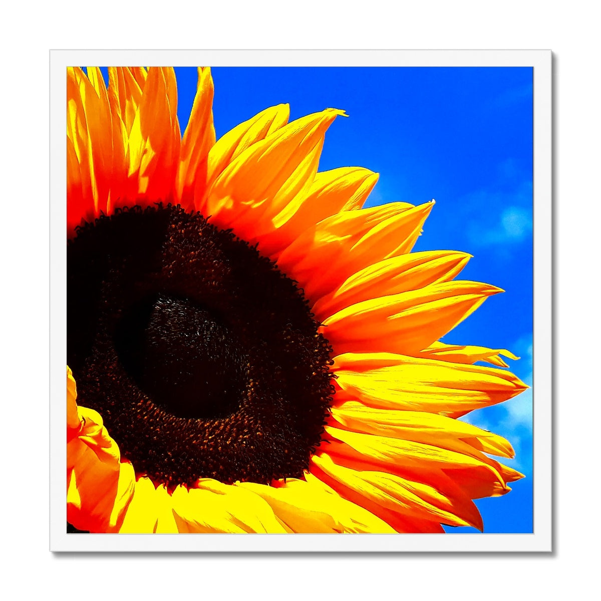 Sunflower Joy - Framed Print
