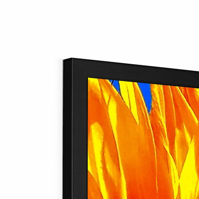 Sunflower Joy - Framed Print | Feel Good Images
