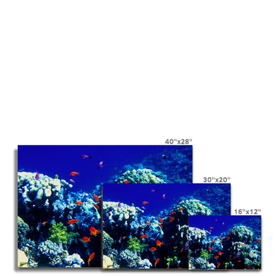 The Blue Hole - The Red Sea - Egypt - Canvas | Feel Good Images