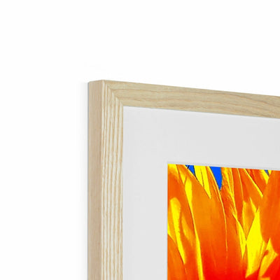 Sunflower Joy Framed & Mounted Print | Feel Good Images