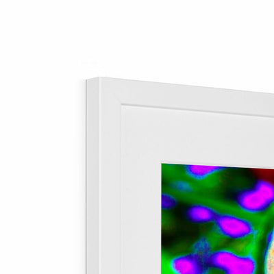 Buddha Joy Framed & Mounted Print | Feel Good Images