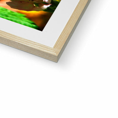 Butterfly Joy - Framed Mounted Print | Feel Good Images