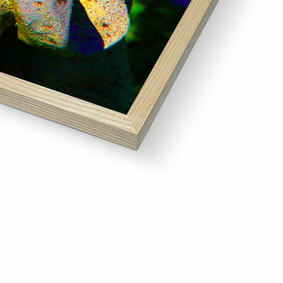 Buddha Joy Framed Print | Feel Good Images