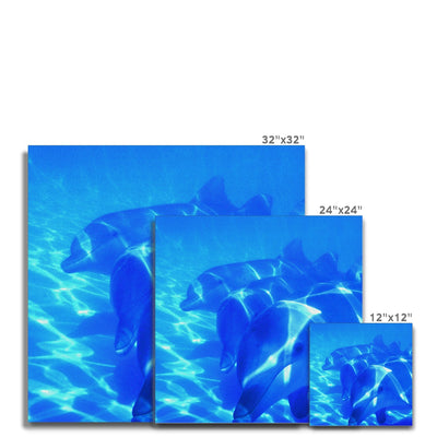 Dolphin Love Canvas | Feel Good Images
