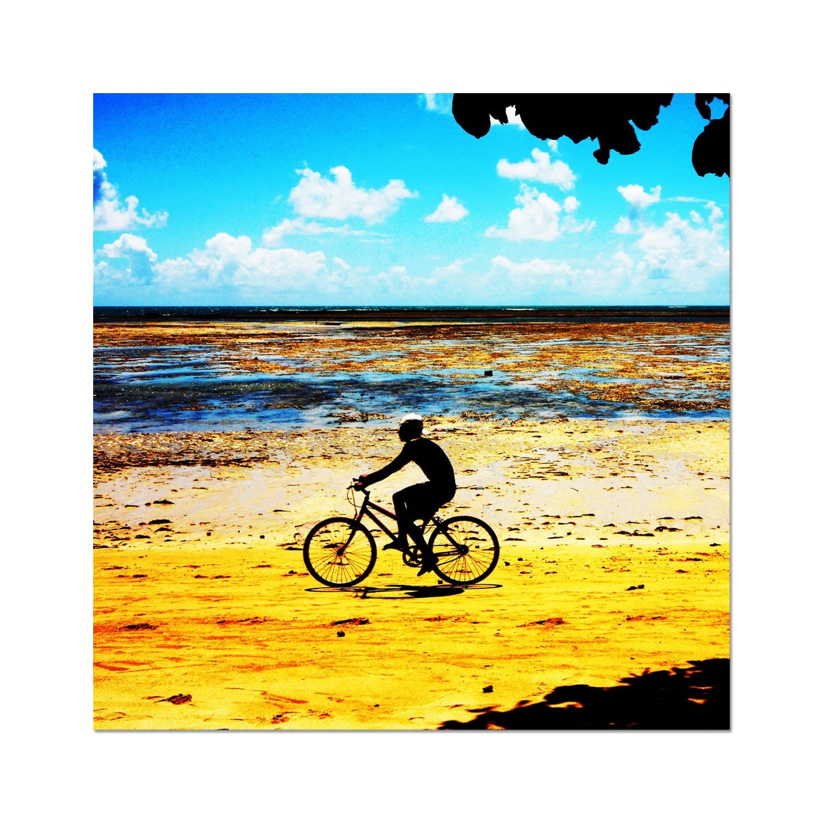 Bahia Bicycle - Square - Photo Art Print