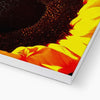 Sunflower Joy Canvas | Feel Good Images