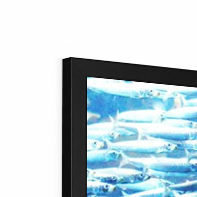 Monterey Fish Framed Print | Feel Good Images