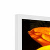 Sunflower Joy Shines Framed Print | Feel Good Images