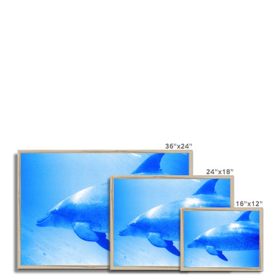 Oleen Joy Framed Print | Feel Good Images