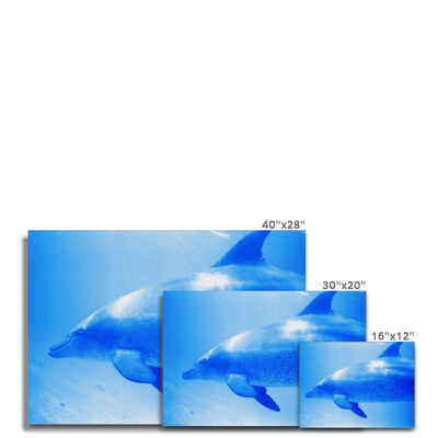Oleen Joy Canvas | Feel Good Images