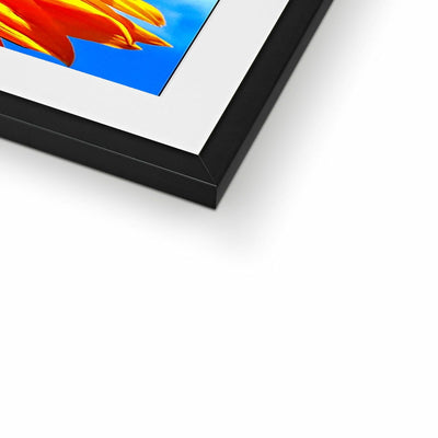 Sunflower Joy Framed & Mounted Print | Feel Good Images