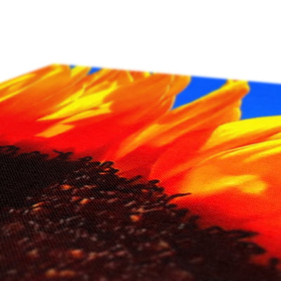 Sunflower Joy Canvas | Feel Good Images